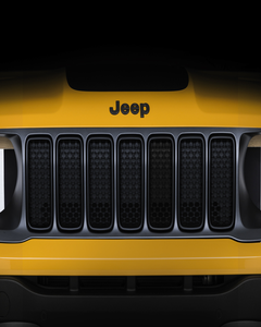 Grau satinierter Frontgrill mit mattschwarzen Ringen.